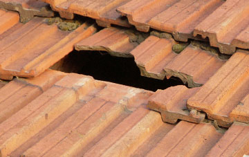 roof repair Nant