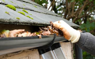 gutter cleaning Nant