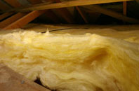 Nant pitch roof insulation